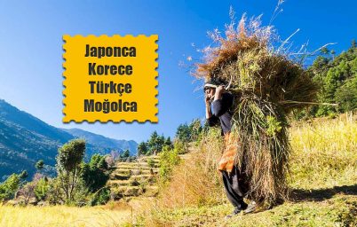 japonca-korece-turkce