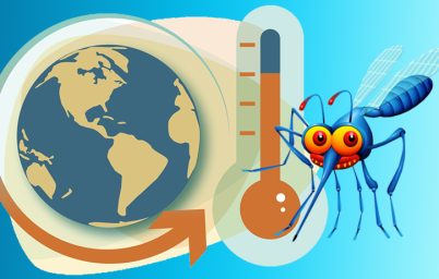 iklim-degisikligi-sivrisinekler-ve-chikungunya