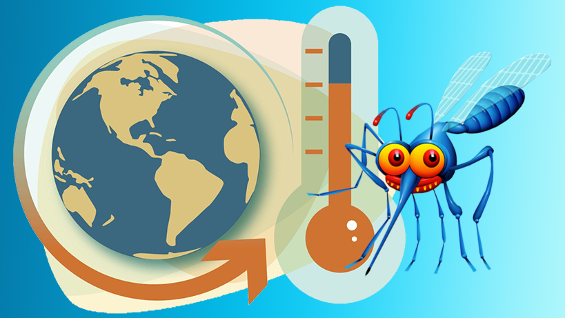 iklim-degisikligi-sivrisinekler-ve-chikungunya