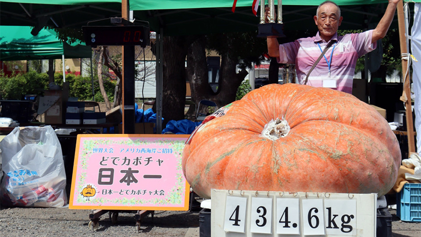 434-kilo-agirliginda-balkabagi-yetistirdi